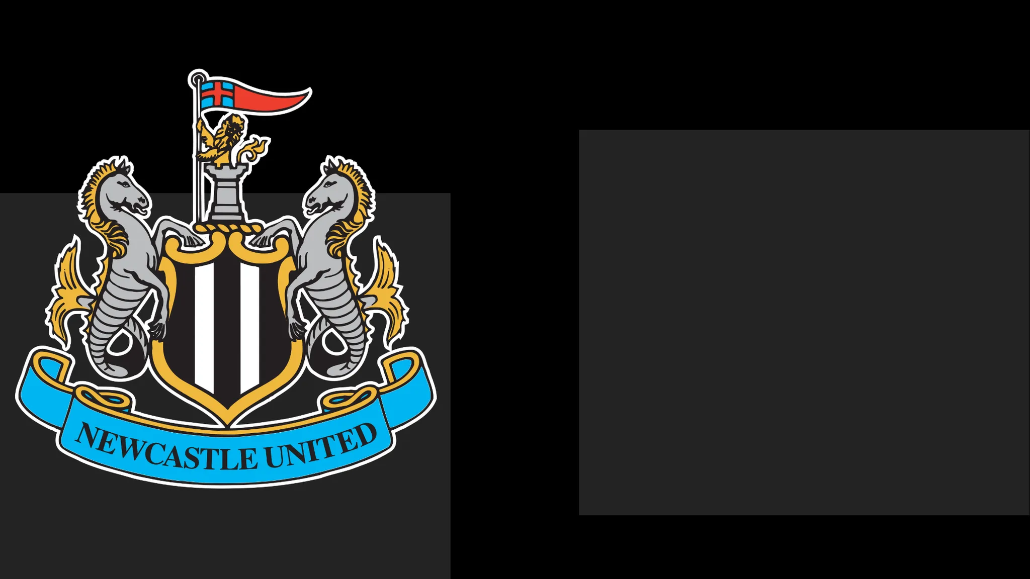 Newcastle's boss Hails Team's Determination – Yet That Only Carries Them So Far