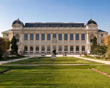 Historic Gold Specimens Stolen in Daring Robbery at French Natural History Institution